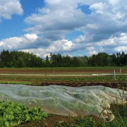 Abdeckgaze Baumwolle