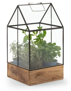 Anzuchtgewächshaus Glas