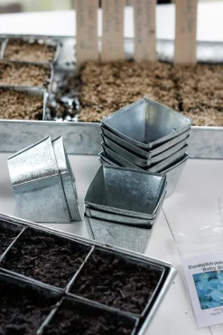 Anzuchtplatte mit Einzeltöpfen