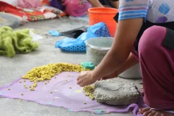 Apfelblütenzweig Filz