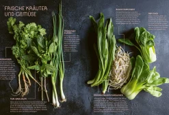 Asiatische Nudelküche