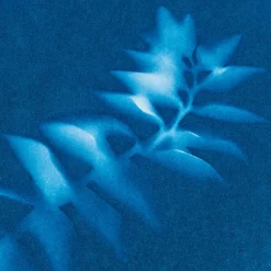 AstroMedia Cyanotypie-Papier