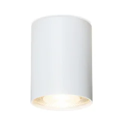 Aufbaustrahler Wittenberg