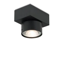 Aufbaustrahler Wittenberg