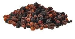 Beerenmischung für Vögel