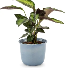 Übertopf Heritage hellblau