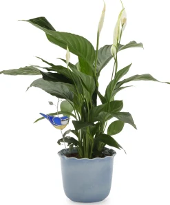 Übertopf Heritage hellblau