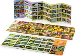 Bestimmungskarten Insekten (3 Stück)