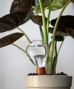 Bewässerungskugel für Topfpflanzen
