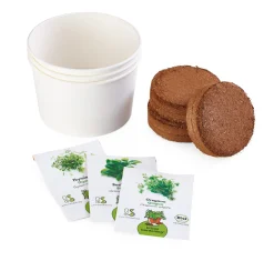 Bio-Aussaatset Italienische Küchenkräuter