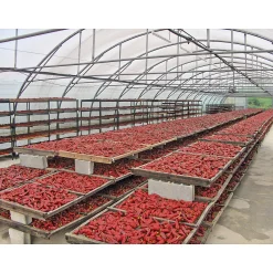 Bio-Piment d’Espelette