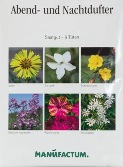 Blumensamen Abend- und Nachtdufter