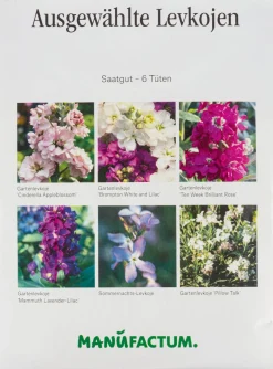 Blumensamen Ausgewählte Levkojen