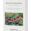 Blumensamen für trockene heiße Plätze