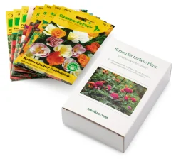 Blumensamen für trockene heiße Plätze