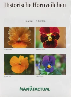 Blumensamen Historische Hornveilchen