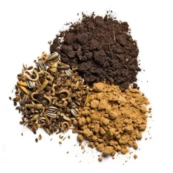 Blumensamen Samenkugeln