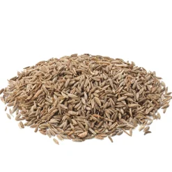 Cumin
