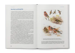 Das große Buch der Gartenvögel