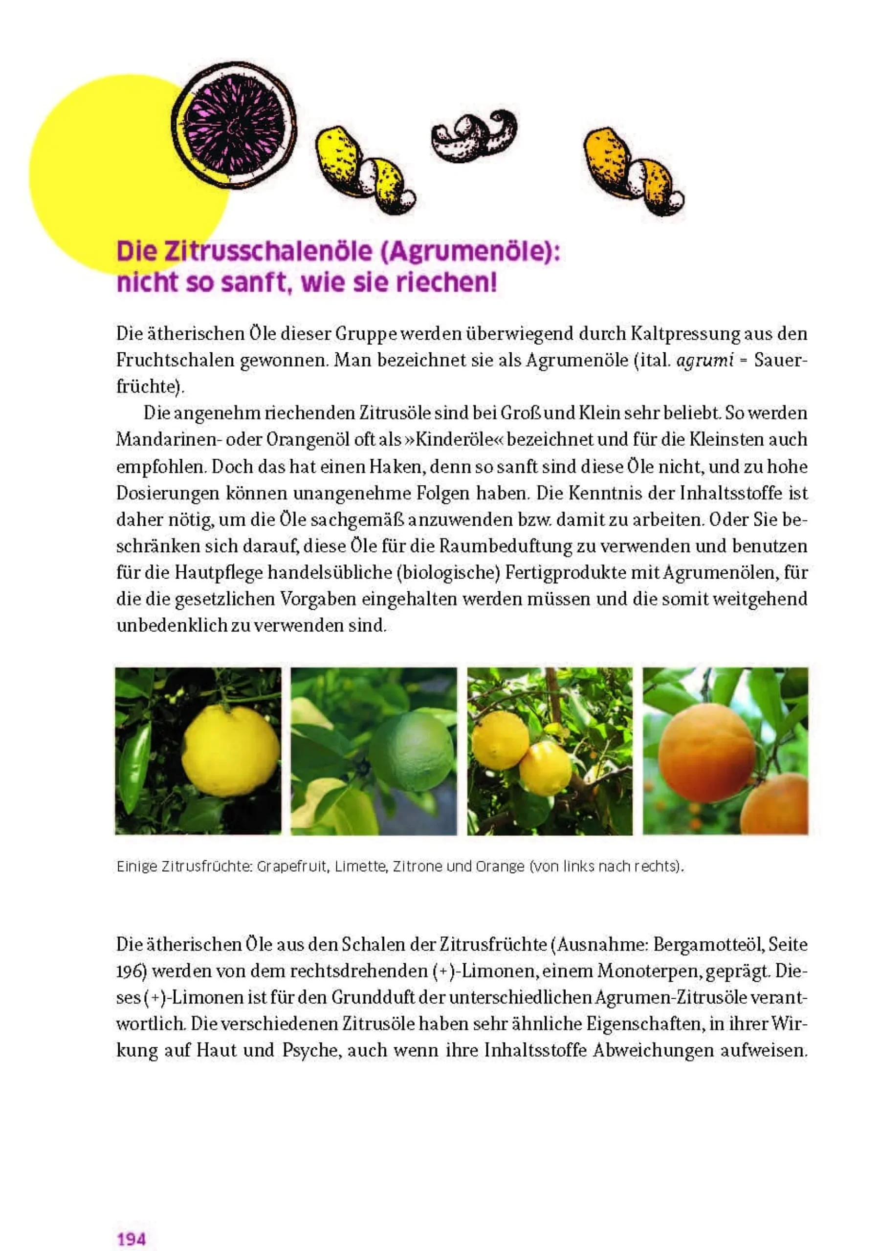 Das große Buch für die gesunde Haut