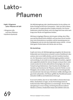 Das Noma-Handbuch Fermentation