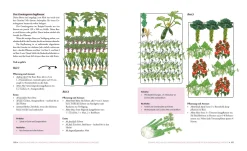 Das phänomenale Erntebeet