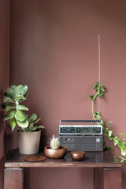 Deckeldose Massivholz