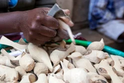 Dekovogel Holz handgeschnitzt