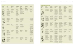 Der Biogarten - Das Original