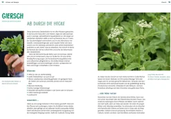 Der Giersch muss weg!