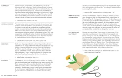 Die pflanzliche Hausapotheke