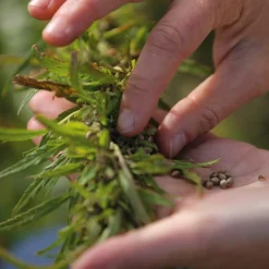 Dr. Bronner’s Duschgel