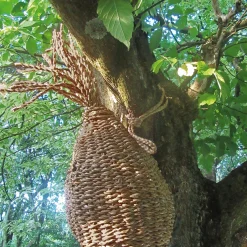Eichhörnchenkobel Schilfgras