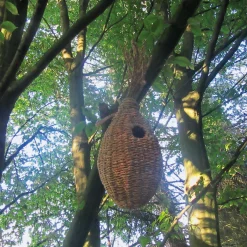 Eichhörnchenkobel Schilfgras
