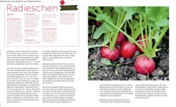 Ernte mich im Winter