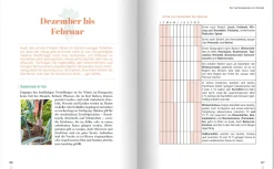 Erntewunder trotz Wetterchaos