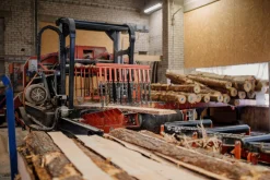 Faltsessel Erlenholz