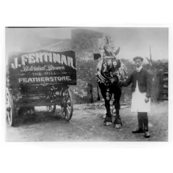 Fentimans Curiosity Cola