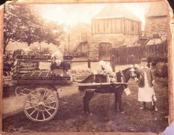 Fentimans Ginger Beer