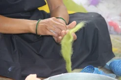 Forsythienzweig Filz