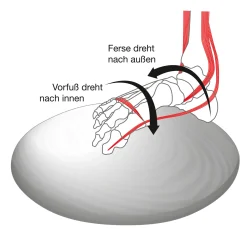 Fuß- und Beinachsentrainer