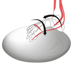 Fuß- und Beinachsentrainer