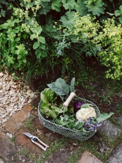 Gartenschere Holzgriff