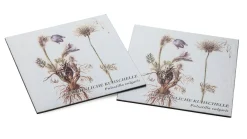 Gedächtnisspiel Wiesenpflanzen