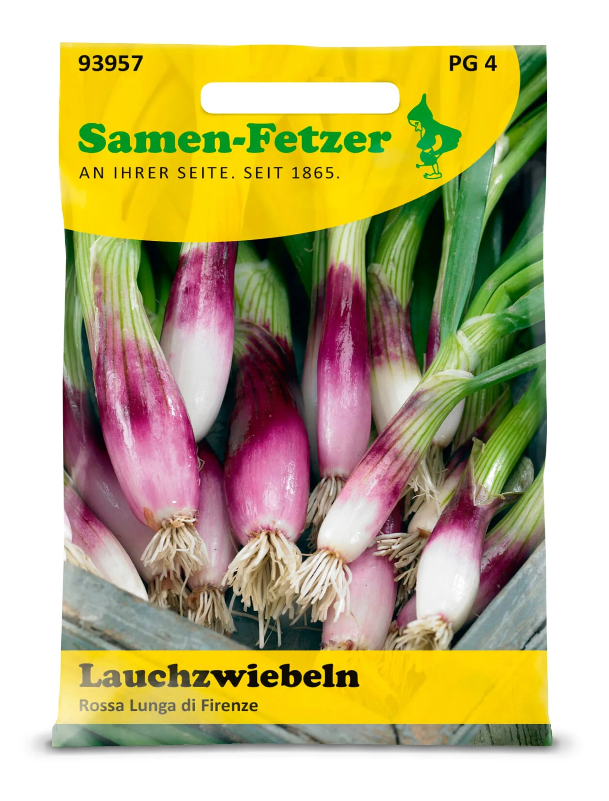 Gemüse anbauen im Hochbeet - Gemüse und Kräuter zum Grillen