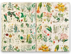 Geschenkpapier Pepin