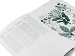 Geschenkpapier Pepin