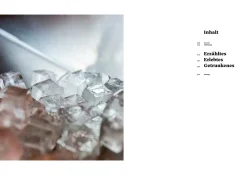 GIN - Das Buch. Herstellung Genuss Kultur.