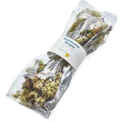 Griechischer Bergtee