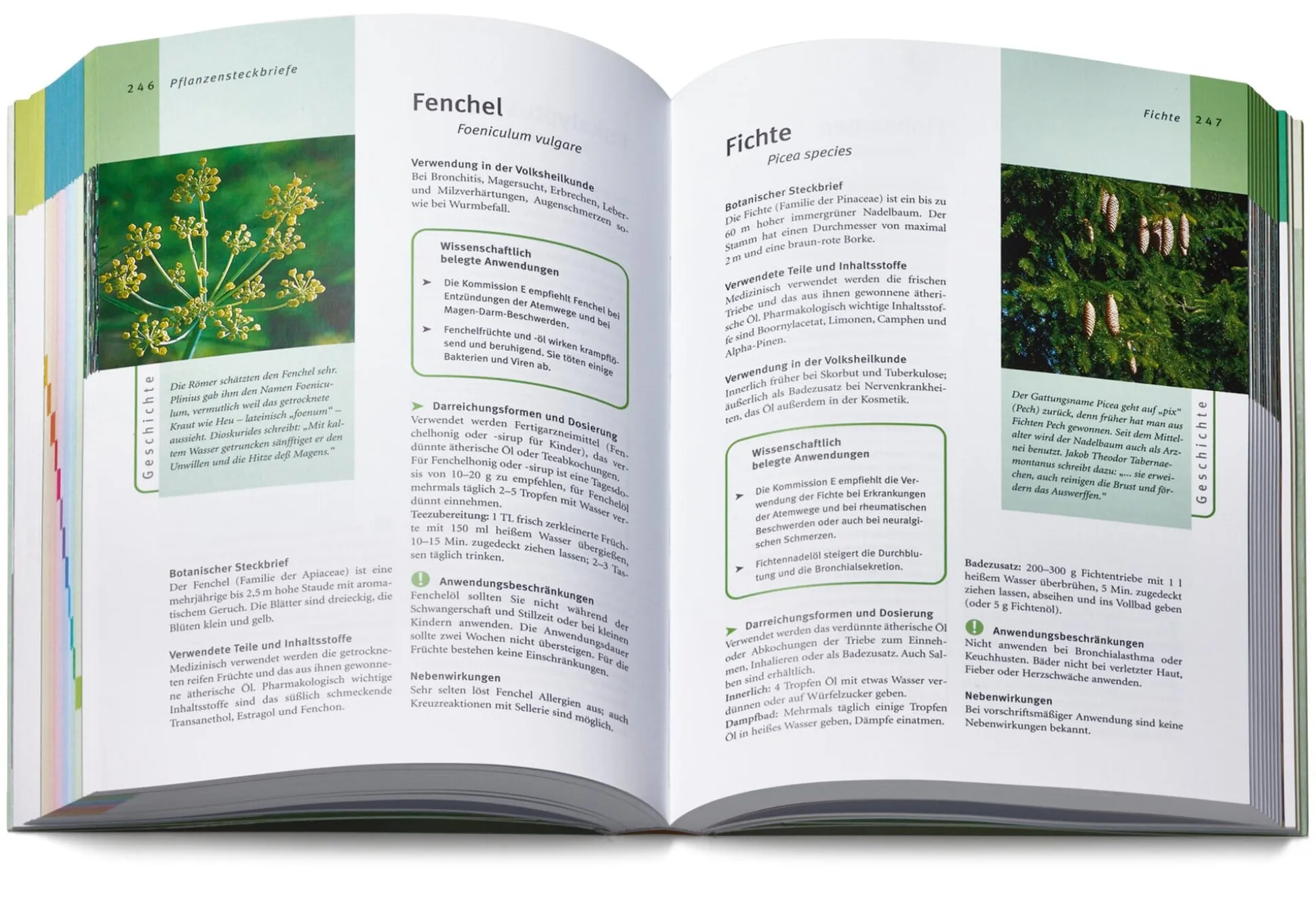 Grüne Apotheke. Das Standardwerk zur Pflanzenheilkunde Dr. Jörg Grünwald und Christof Jänicke